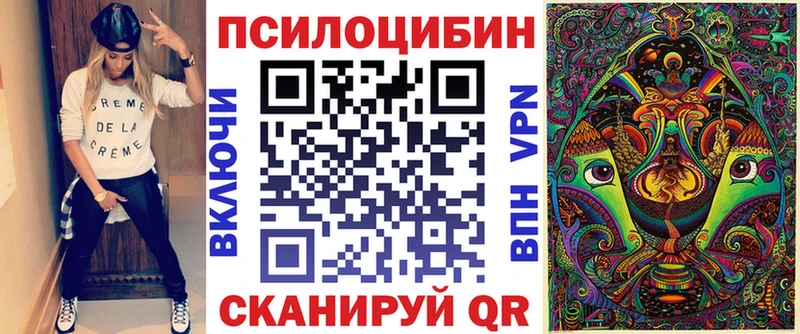 купить  цена  Берёзовский  Галлюциногенные грибы Psilocybe 
